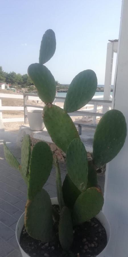 Salenti..Amo Villa Pulsano Ngoại thất bức ảnh